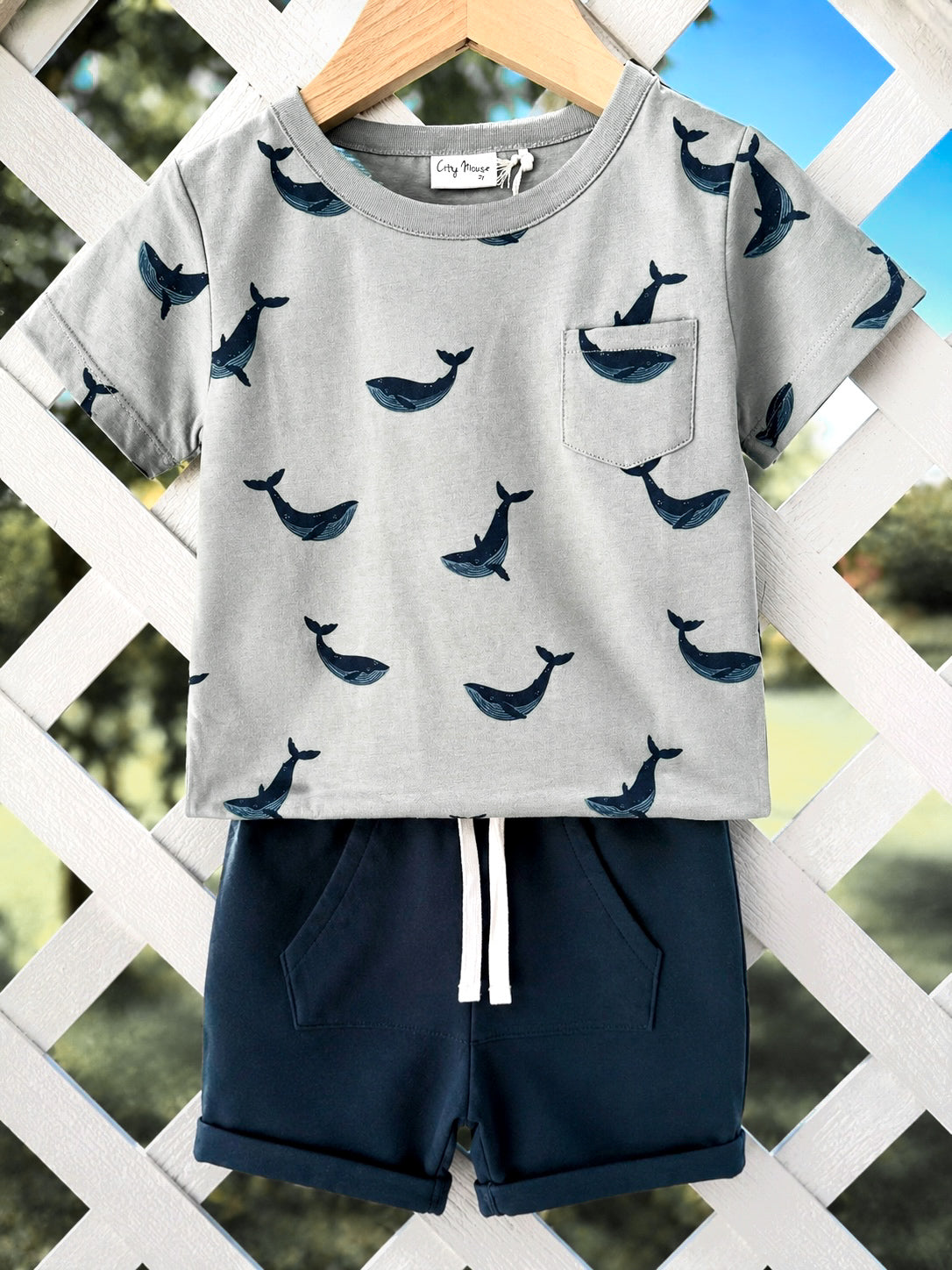 Summer Seas Whale Set 🐋