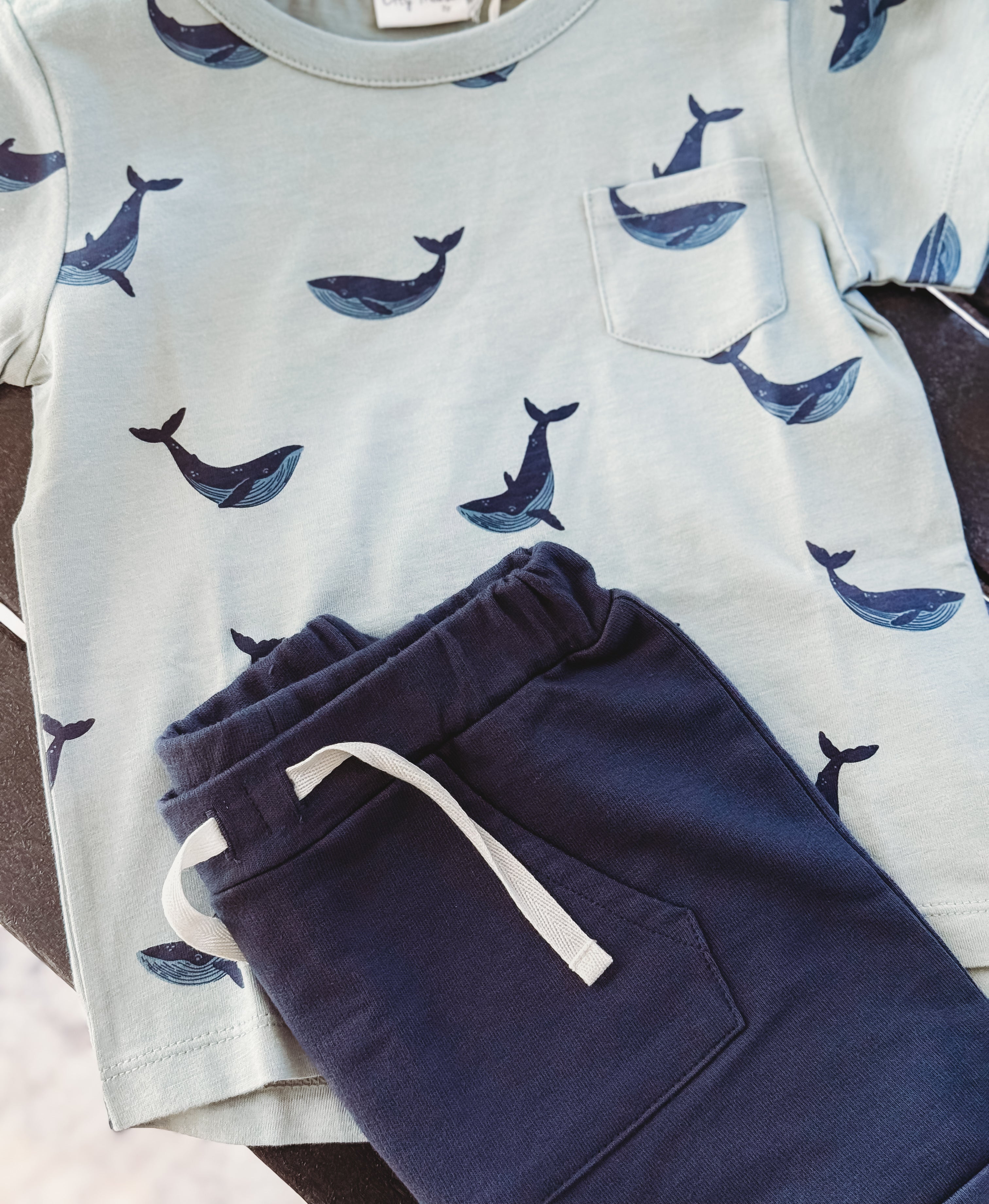 Summer Seas Whale Set 🐋